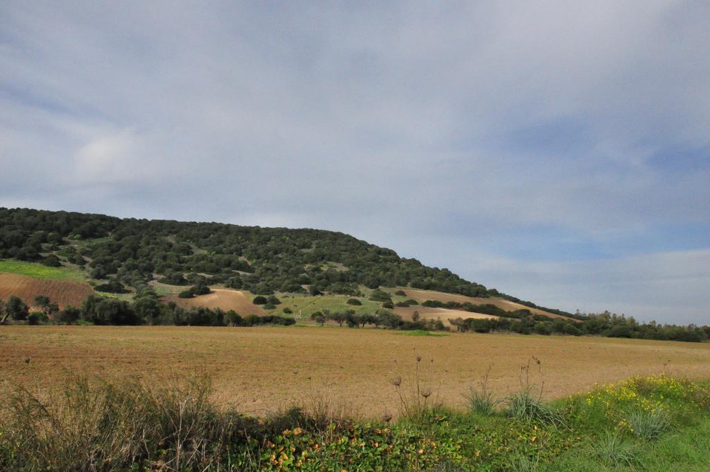 Agriturismo Sa Scalitta Карбония Экстерьер фото